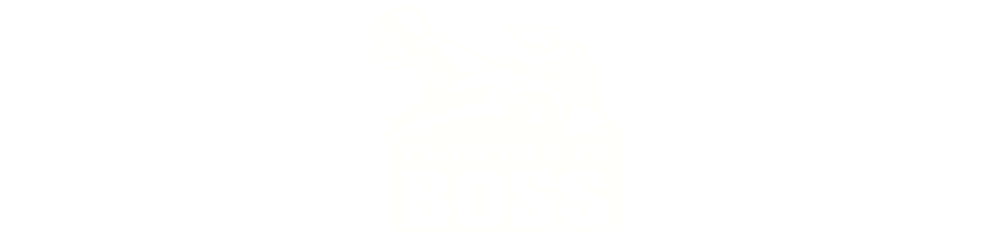 Desguaces Boss